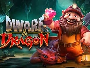 Dwarf & Dragon screenshot